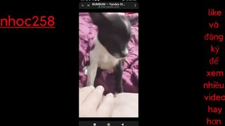 Em gái mới lớn ở nhà một mình nứng lồn quá thủ dâm rồi bắt chó liếm lồn sướng vl ra