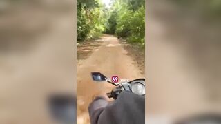 Lặn lội mấy chục km đưa em đi ăn rồi làm nháy giữa rừng cây 2