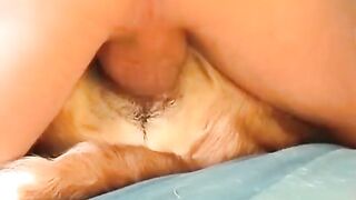 Thấy người ta dịt chó chàng trai dịt thử và cái kết sướng vl