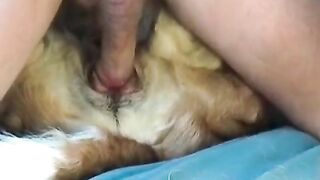 Thấy người ta dịt chó chàng trai dịt thử và cái kết sướng vl