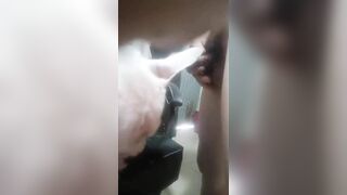 Người đàn ông trung niên đụ chó