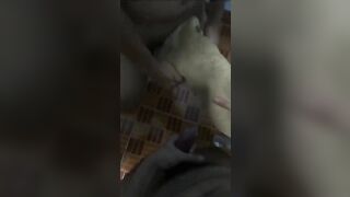 Thú cưng 🐕
