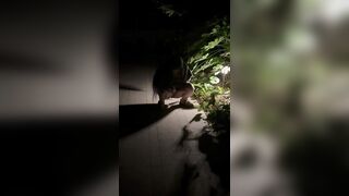 bắt quả tang, nhỏ này lén lút tè bậy nhá! đái lẹ, có người tới kìa!