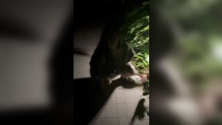 bắt quả tang, nhỏ này lén lút tè bậy nhá! đái lẹ, có người tới kìa!