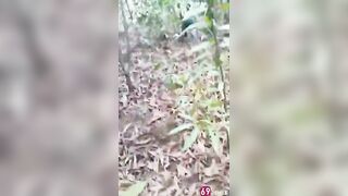Bắt quả tang vợ nhà ai tằng tịu với trai già trong rừng