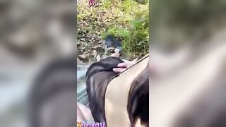 Phát hiện ông chú u40 dẫn cháu gái lên rừng địt ko bao