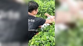 Bọn súc vật, e học sinh bị lôi vào rừng hiếp dâm thg quay thg địt dcm bọn nó