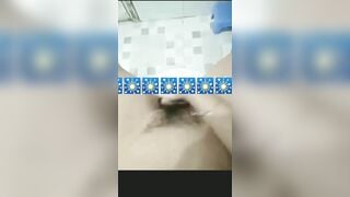 Clip Sex Triệu Thùy Dương Gái Xinh Vn Thủ Dâm Trong Nhà Tắm