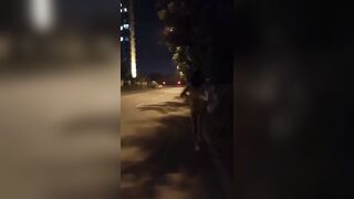 publlic đường phố hà nội