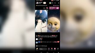 My thỏ