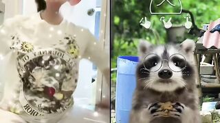 my thỏ trả kèo tiktok