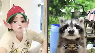 my thỏ trả kèo tiktok