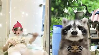 my thỏ trả kèo tiktok