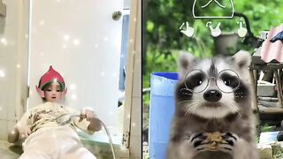 my thỏ trả kèo tiktok
