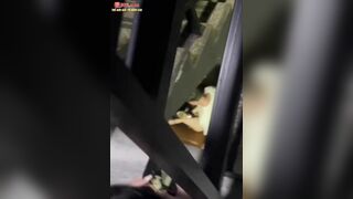 Quay lén 2 em học sinh lén địt nhau ở cầu thang