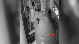 Xin qr cam này