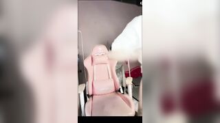 Trả kèo bigo live lồn ngon không lông ngon vãi