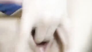 mócccc