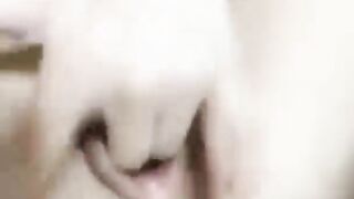 mócccc