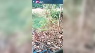 Vét máng em rau bướm non tơ hồng hào