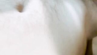 Vid 1