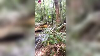 Lặn lội lên rừng đụ em cho đổi gió