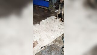 Bác Nông dân và sở thích lạ