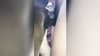 Đi chăn bò, bò không đi lấy cái dùi cui chọc đít bò