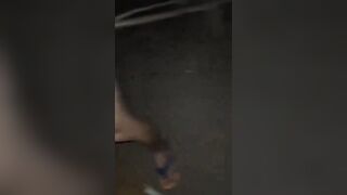 Yêu quý động vật