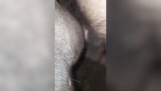 Yêu quý động vật