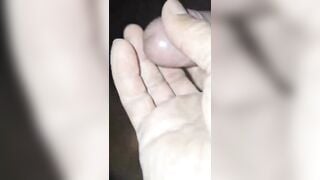 Yêu quý động vật