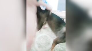 Quan hệ với chó 2
