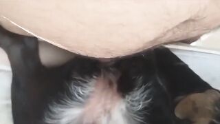 Trung niên và chú chó cưng