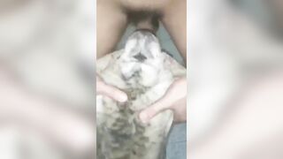 Trung niên và chú chó cưng nút cán