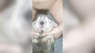 Trung niên và chú chó cưng nút cán