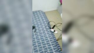 Mí Bé Trai Mới Lớn Tò Mò Về Dịch Vụ Gái Gọi! Và Đây Là Màn Dạo Đầu Trong Nhà Nghỉ Nhé