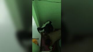 Quay lén anh em hàng xóm địt nhau trong phòng tắm