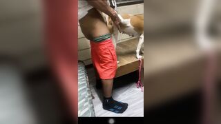 Cặc già đụ chó cái