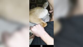 Em trai chịch chó cái nửa đêm