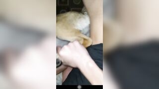 Em trai chịch chó cái nửa đêm