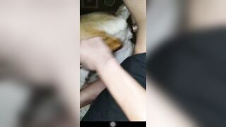 Em trai chịch chó cái nửa đêm