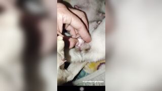 Anh trai che cửa sổ lại chịch em chó cái