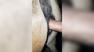 Cặc thanh niên này to đến nỗi Lồn Ngựa còn phải co bóp
