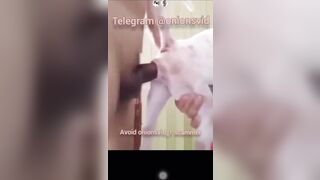 Cặc bự chịch chó nửa nè