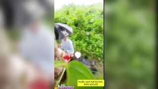 Quay lén Đang đi vô tình dã ngoại thấy cặp đôi địt nhau -