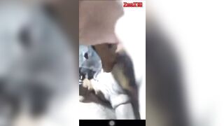 Lại con cặc dài đụ lồn chó múp tại chổ ngủ