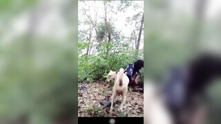 Ra vườn chịch 2 em chó cái