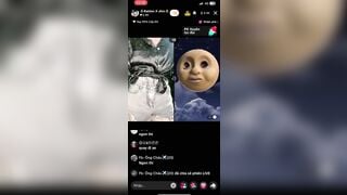 my thỏ trả kèo pk tiktok