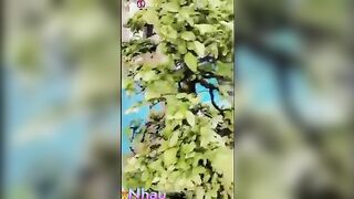Tranh thủ bể bơi vắng, e học sinh lột đồ thủ dâm móc lồn đái luôn