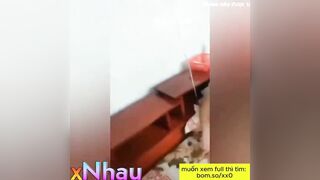 Cho Bạn Thân Xuất Tinh Trong Lồn Vợ Mới Cưới 2 2